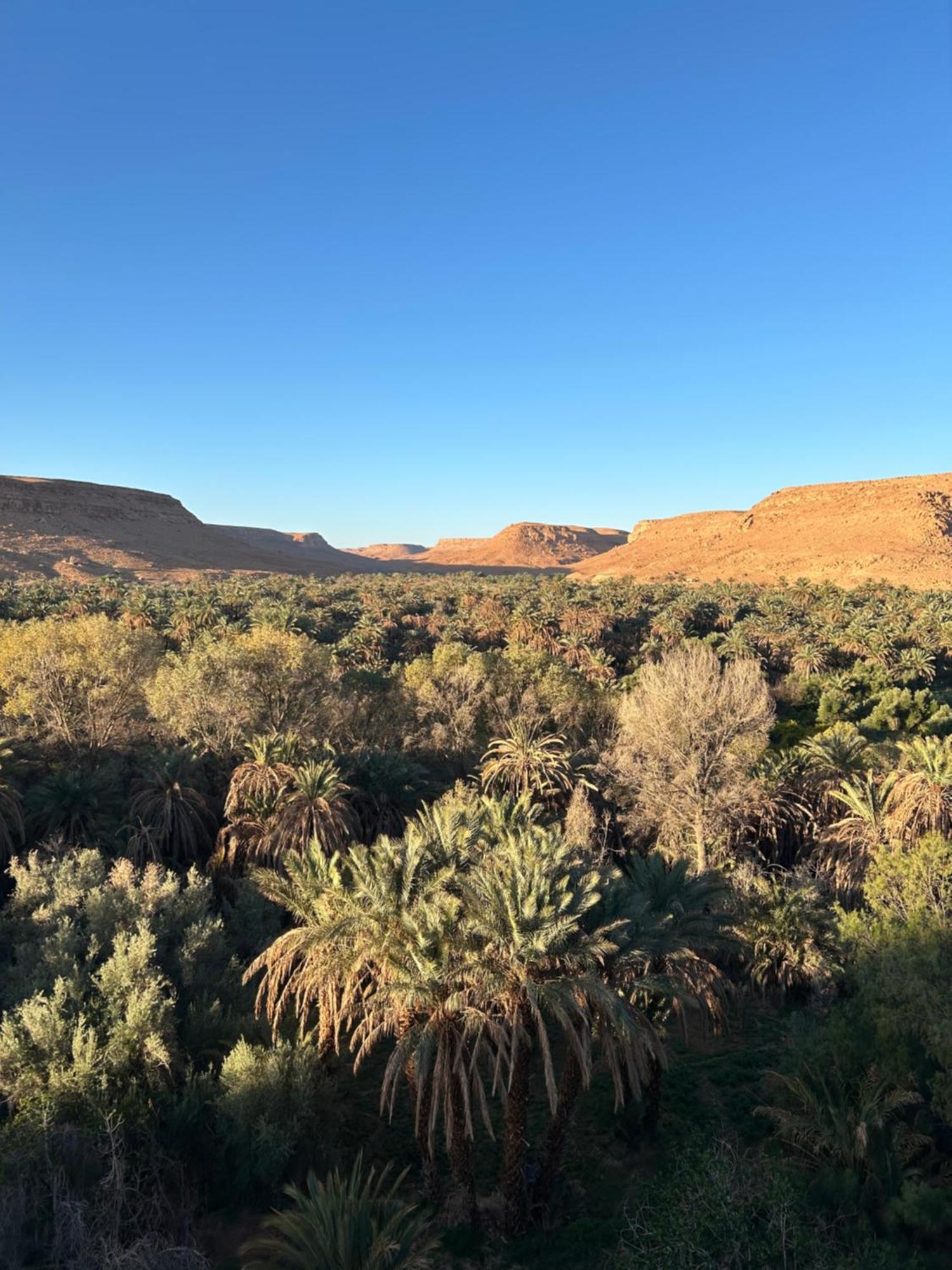 Maison D'Hotes Sahara Aoufous Kültér fotó