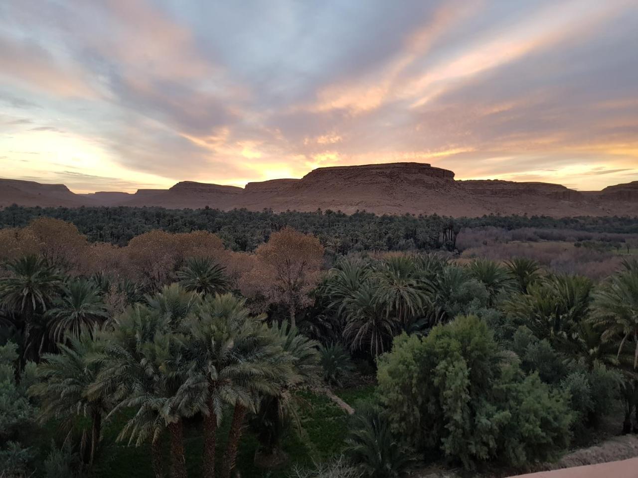 Maison D'Hotes Sahara Aoufous Kültér fotó